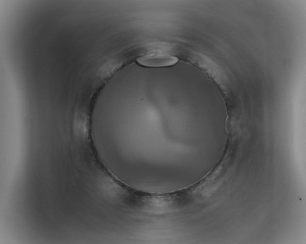 X0000111780305200907231128