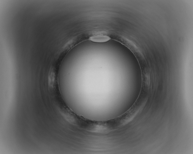 X0000111780308200907231128