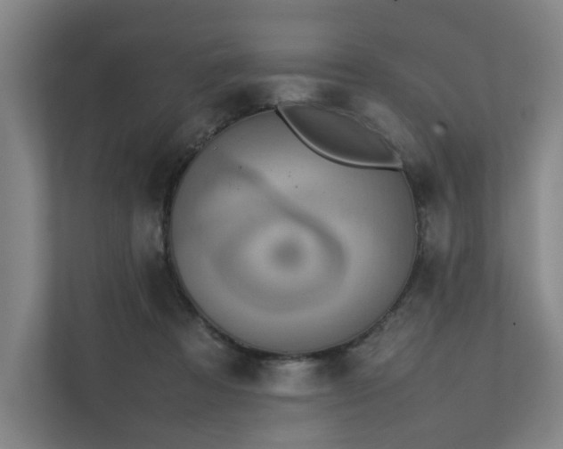 X0000111780313200907231128