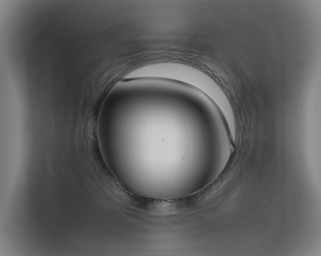 X0000111780325200907231128
