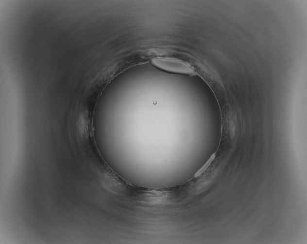 X0000111780328200907231128