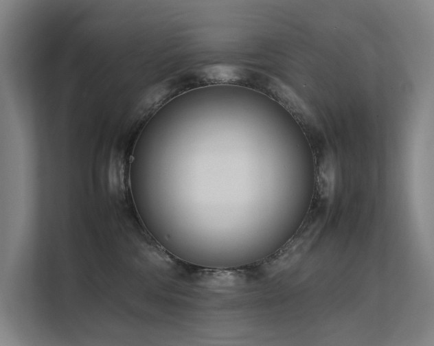 X0000111780330200907231128