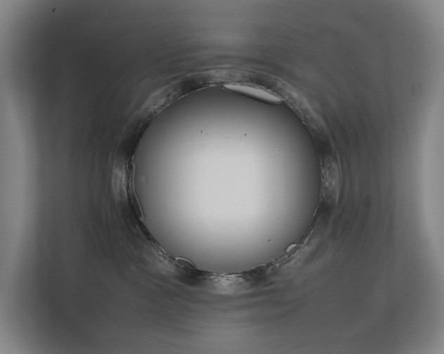 X0000111780333200907231128