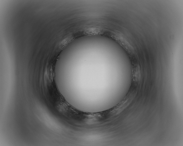 X0000111780334200907231128