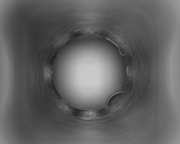 X0000111780335200907231128