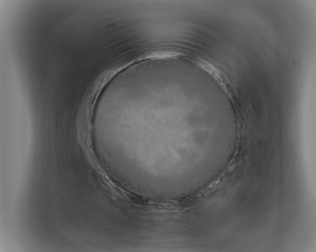 X0000111780337200907231127