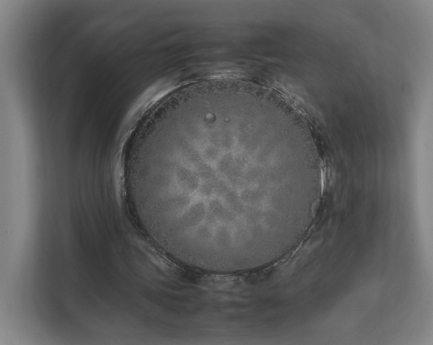 X0000111780339200907231127