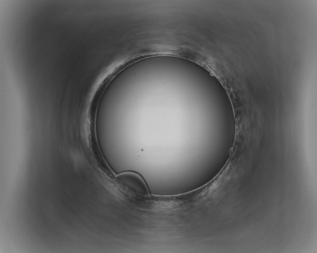 X0000111780342200907231127