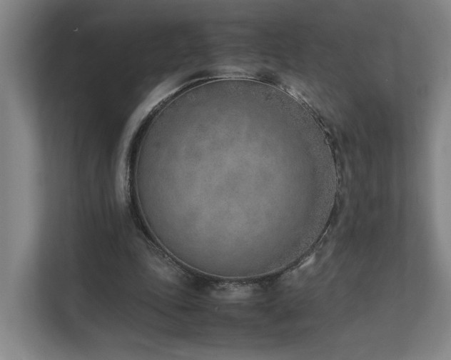 X0000111780343200907231127