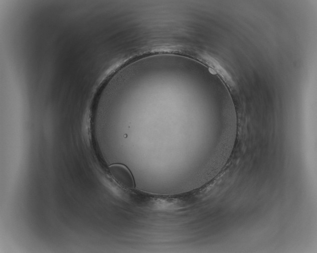 X0000111780346200907231127