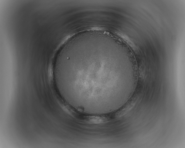 X0000111780347200907231127
