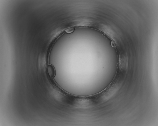 X0000111780348200907231127