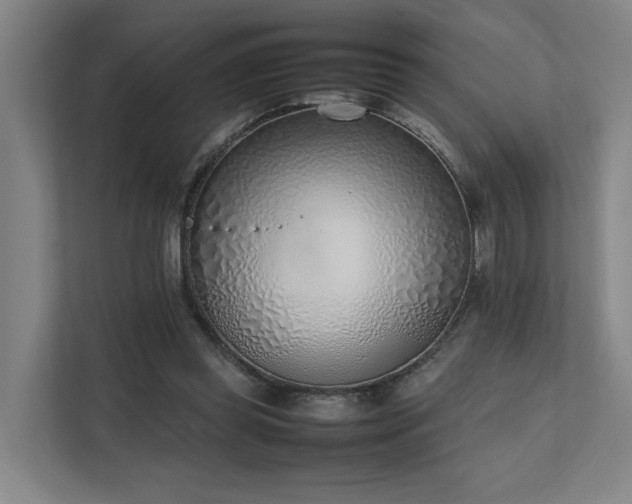X0000111780349200907231127