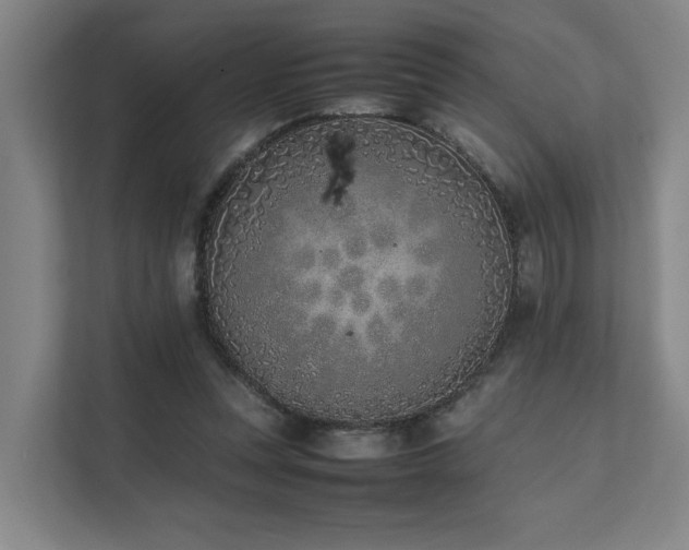 X0000111780351200907231127