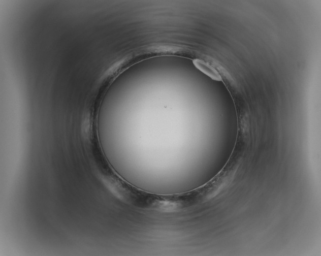 X0000111780352200907231127