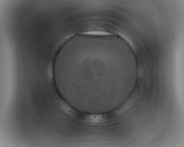 X0000111780353200907231127