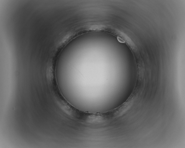X0000111780354200907231127