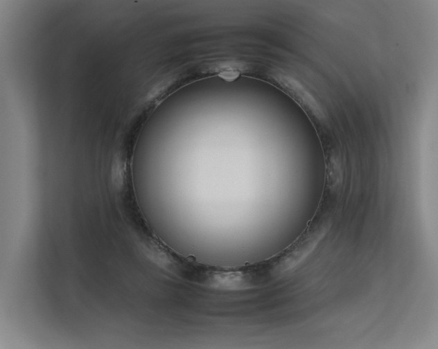 X0000111780355200907231127