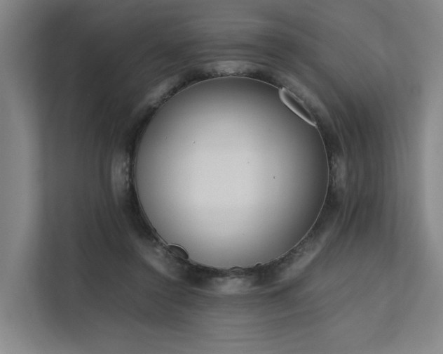 X0000111780356200907231127