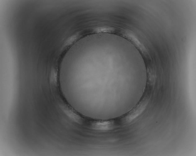 X0000111780357200907231127
