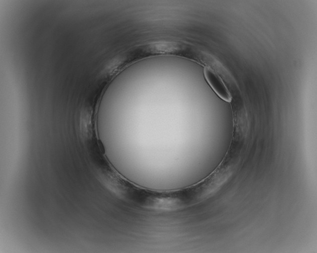 X0000111780360200907231127