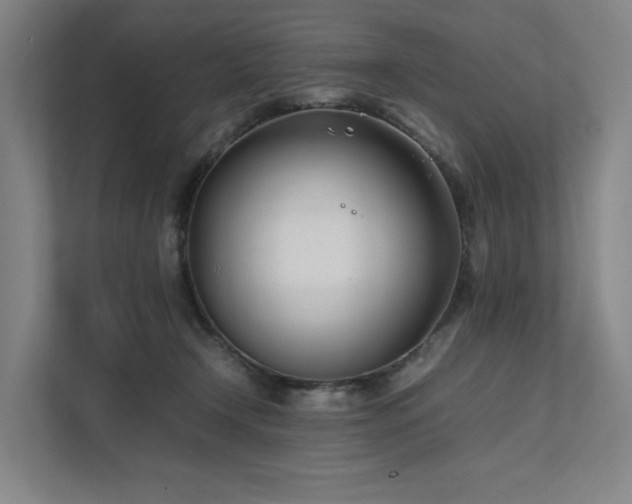 X0000111780366200907231127