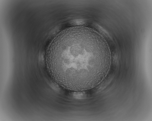 X0000111780373200907231127