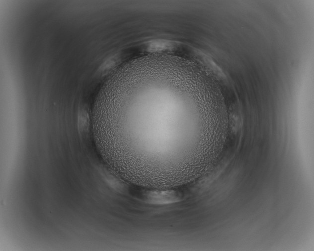 X0000111780375200907231127