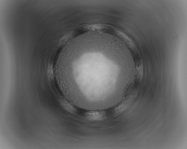 X0000111780381200907231128