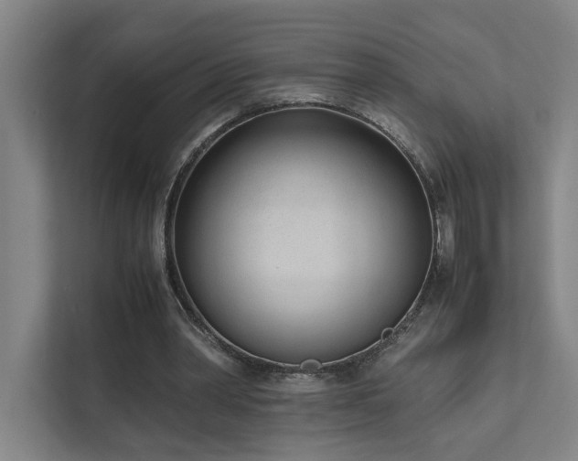 X0000111780390200907231127