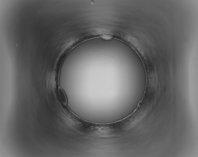 X0000111780395200907231127