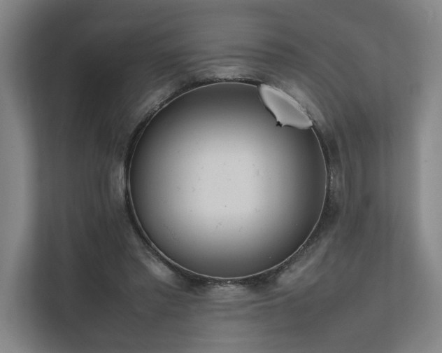 X0000111780397200907231127