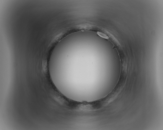X0000111780403200907231127