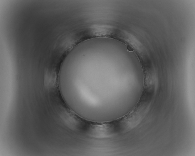 X0000111780411200907231127