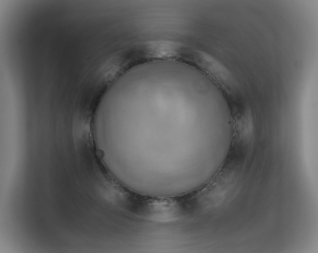X0000111780415200907231127