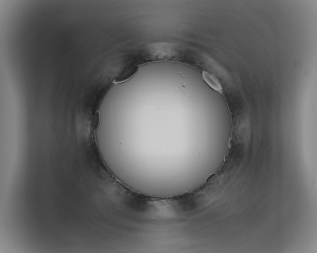 X0000111780417200907231127