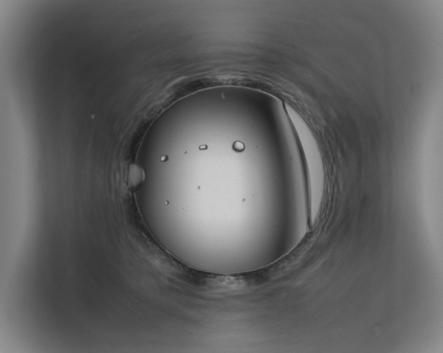 X0000111780421200907231127