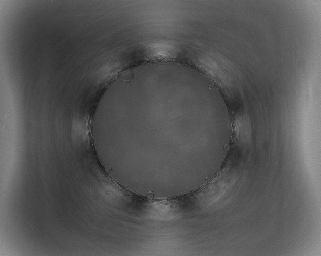 X0000111780423200907231126
