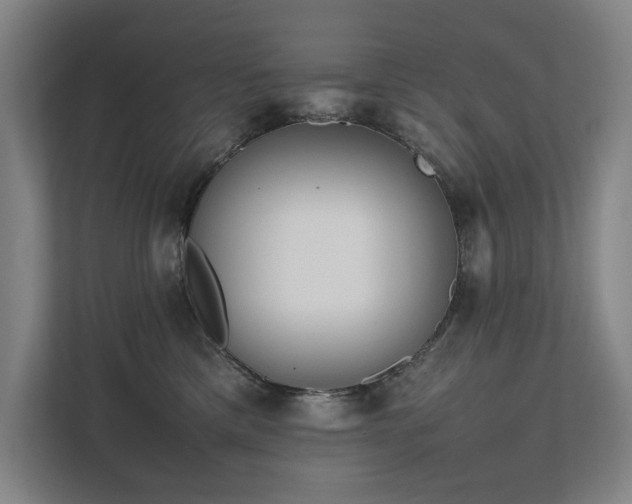 X0000111780425200907231126
