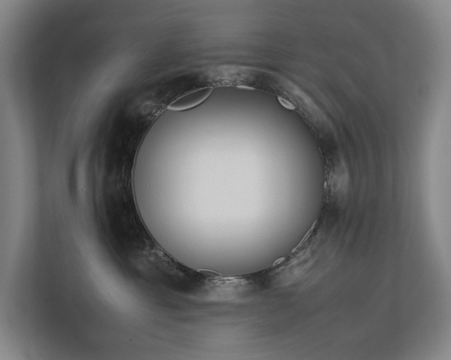 X0000111780429200907231126