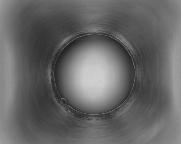 X0000111780434200907231126