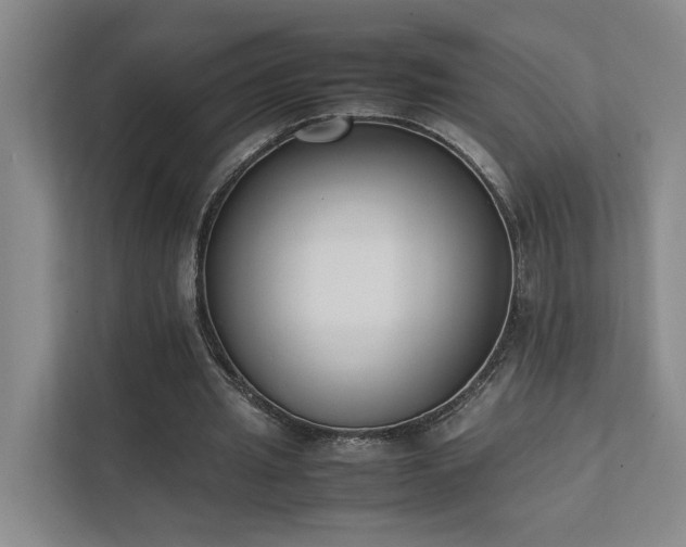 X0000111780437200907231126