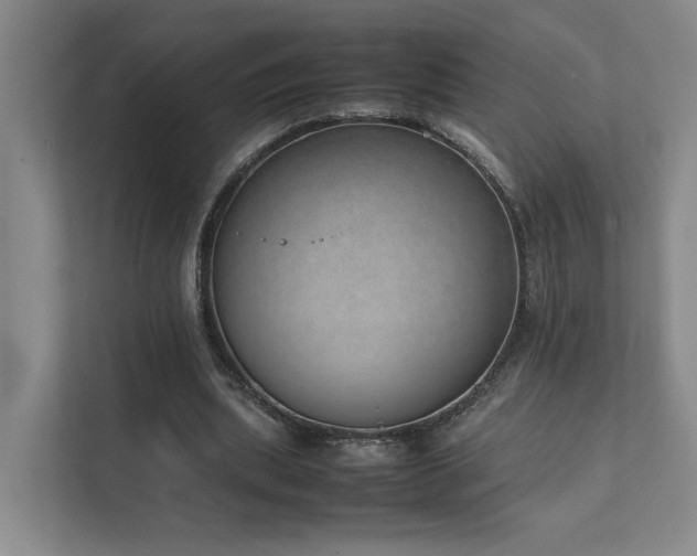 X0000111780439200907231126