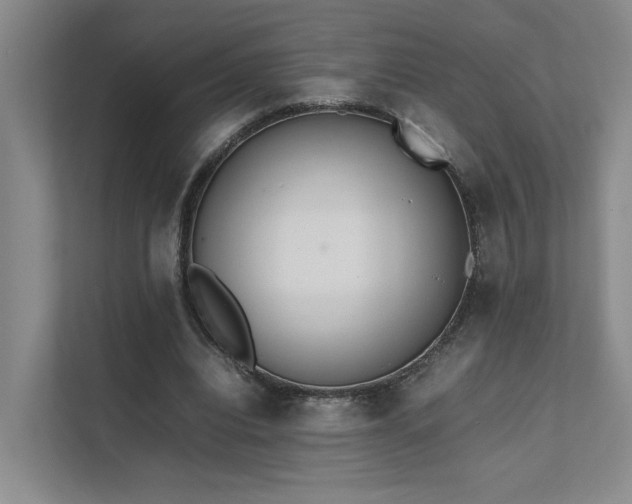 X0000111780440200907231126