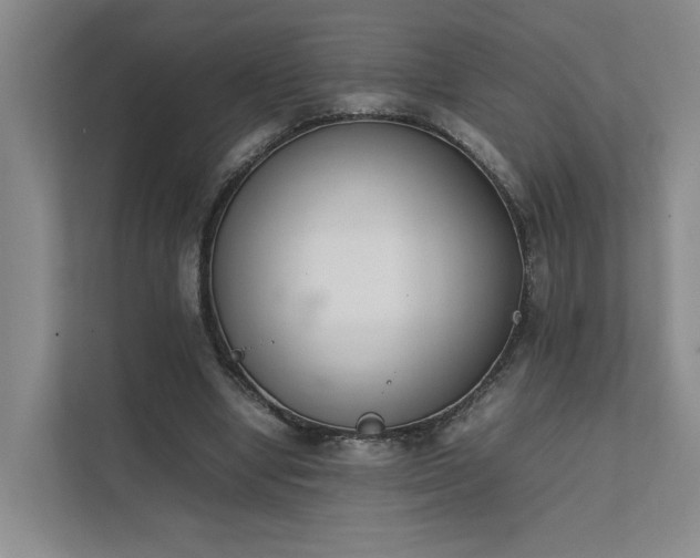 X0000111780442200907231126