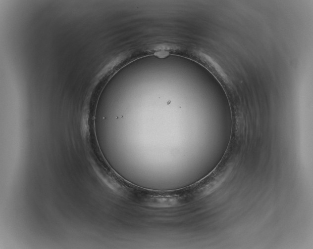 X0000111780443200907231126