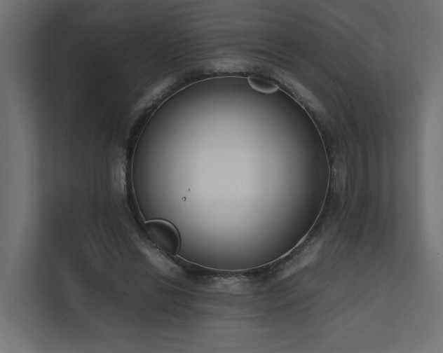 X0000111780446200907231126