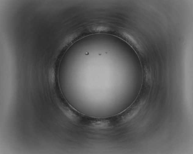 X0000111780447200907231126