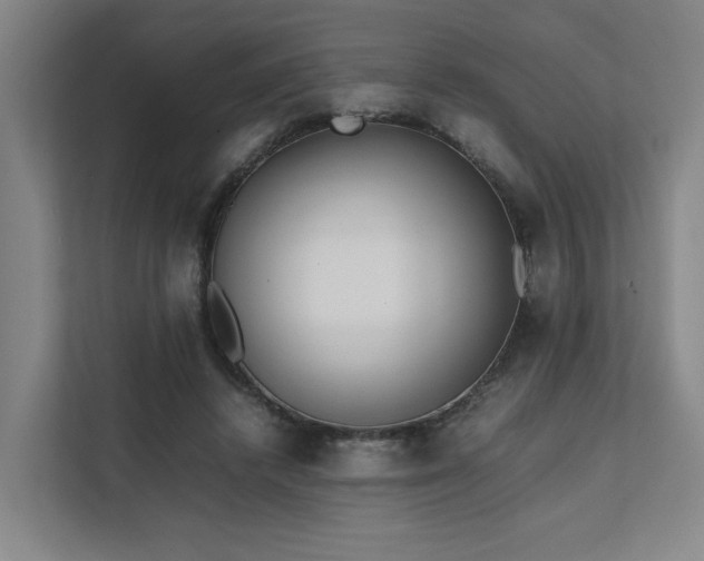 X0000111780448200907231126