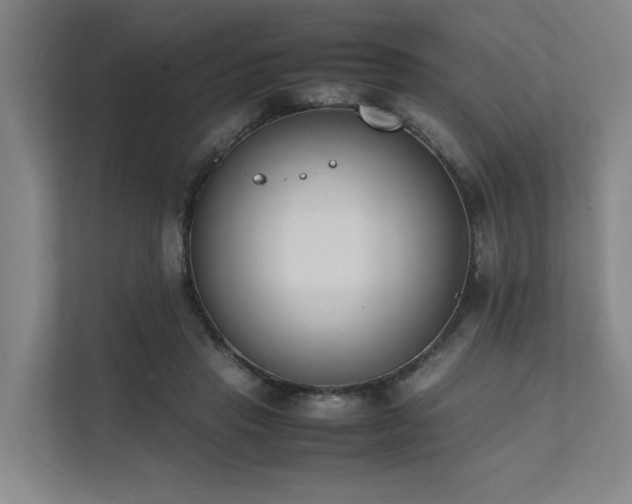 X0000111780453200907231126